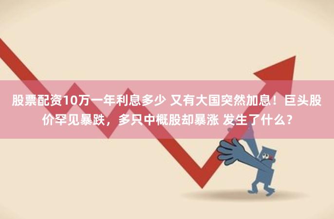 股票配资10万一年利息多少 又有大国突然加息！巨头股价罕见暴跌，多只中概股却暴涨 发生了什么？