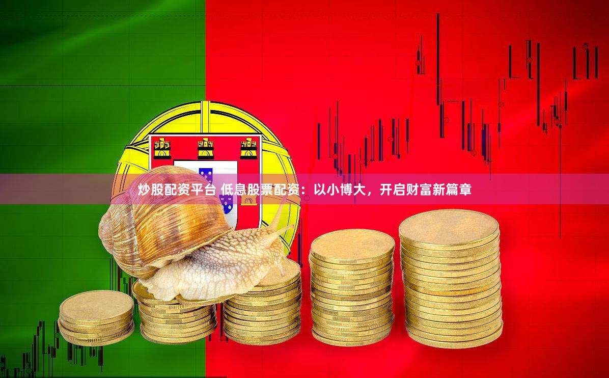 炒股配资平台 低息股票配资：以小博大，开启财富新篇章