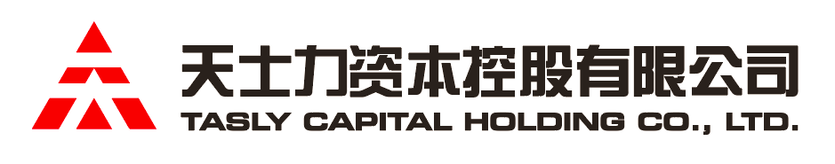 PT视讯厅资本控股有限公司